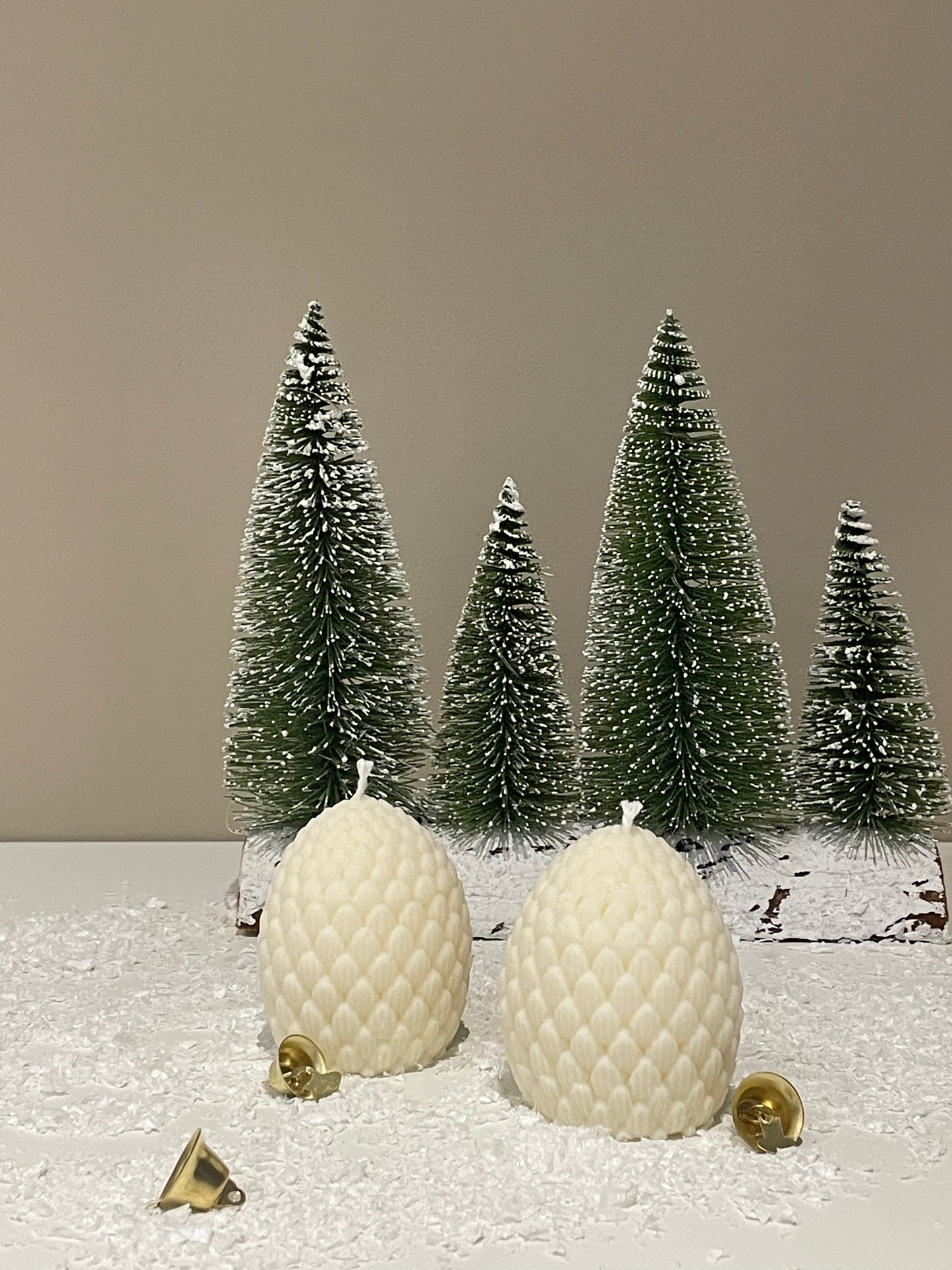 Pine Cone
