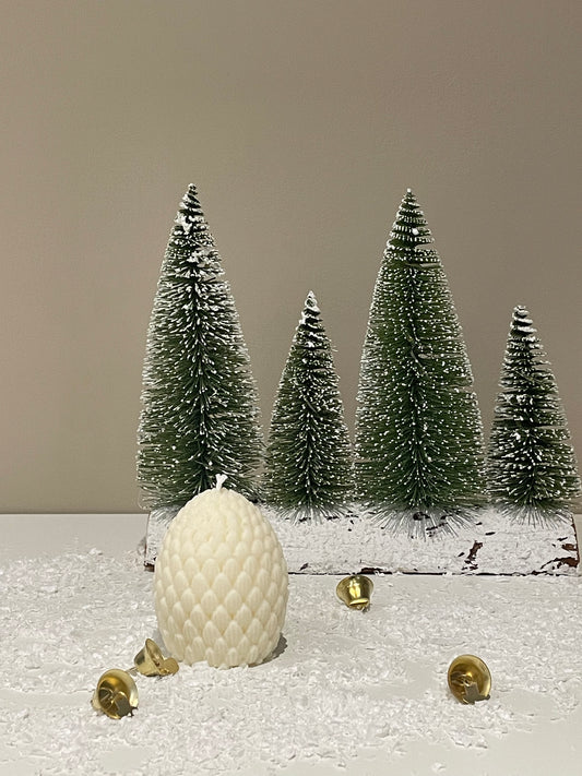 Pine Cone