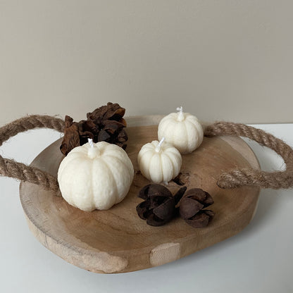 Trio Textured Pumpkin