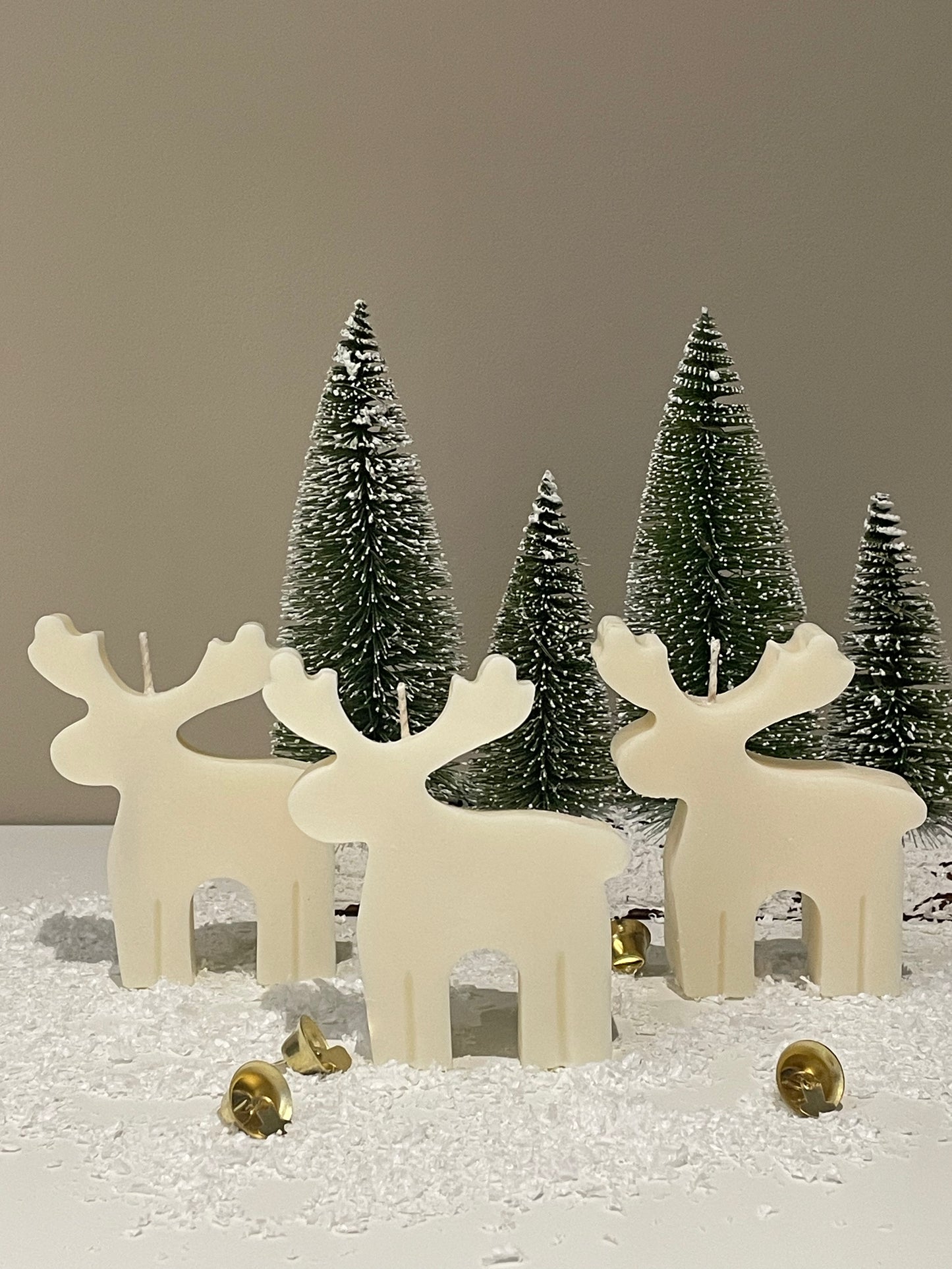 Reindeer