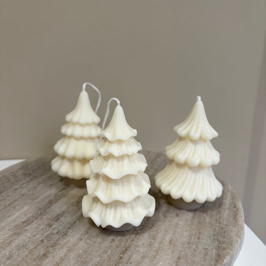 Forest fir trees - Trio