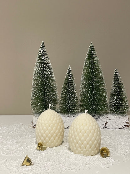 Pine Cone