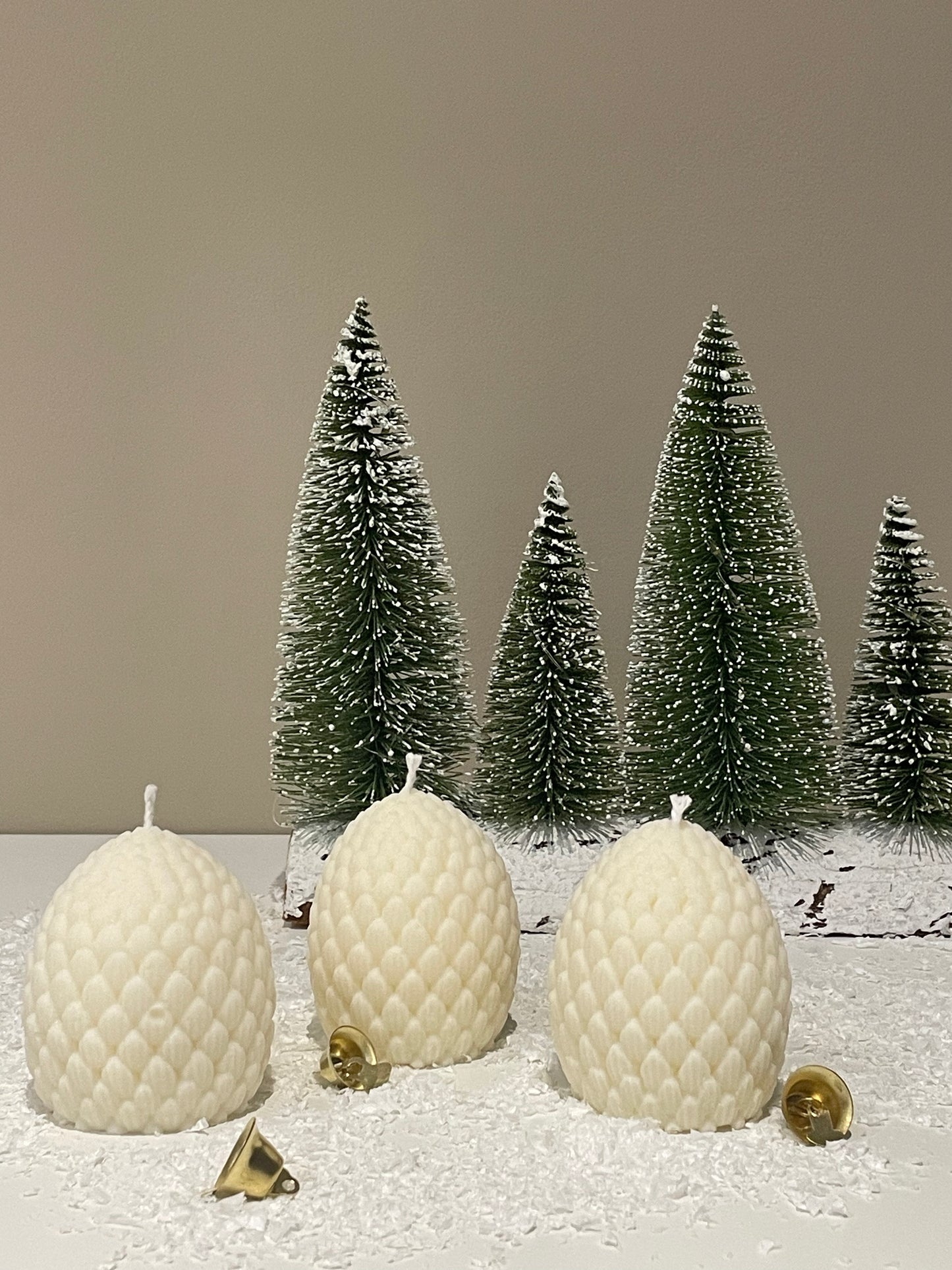 Pine Cone