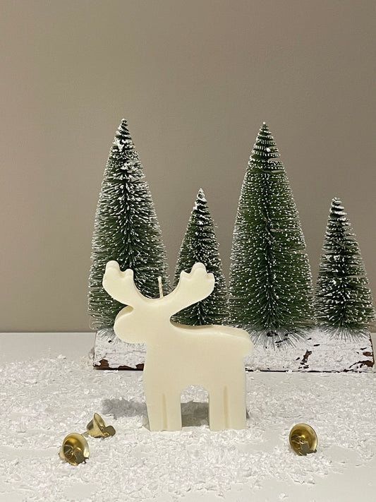 Reindeer