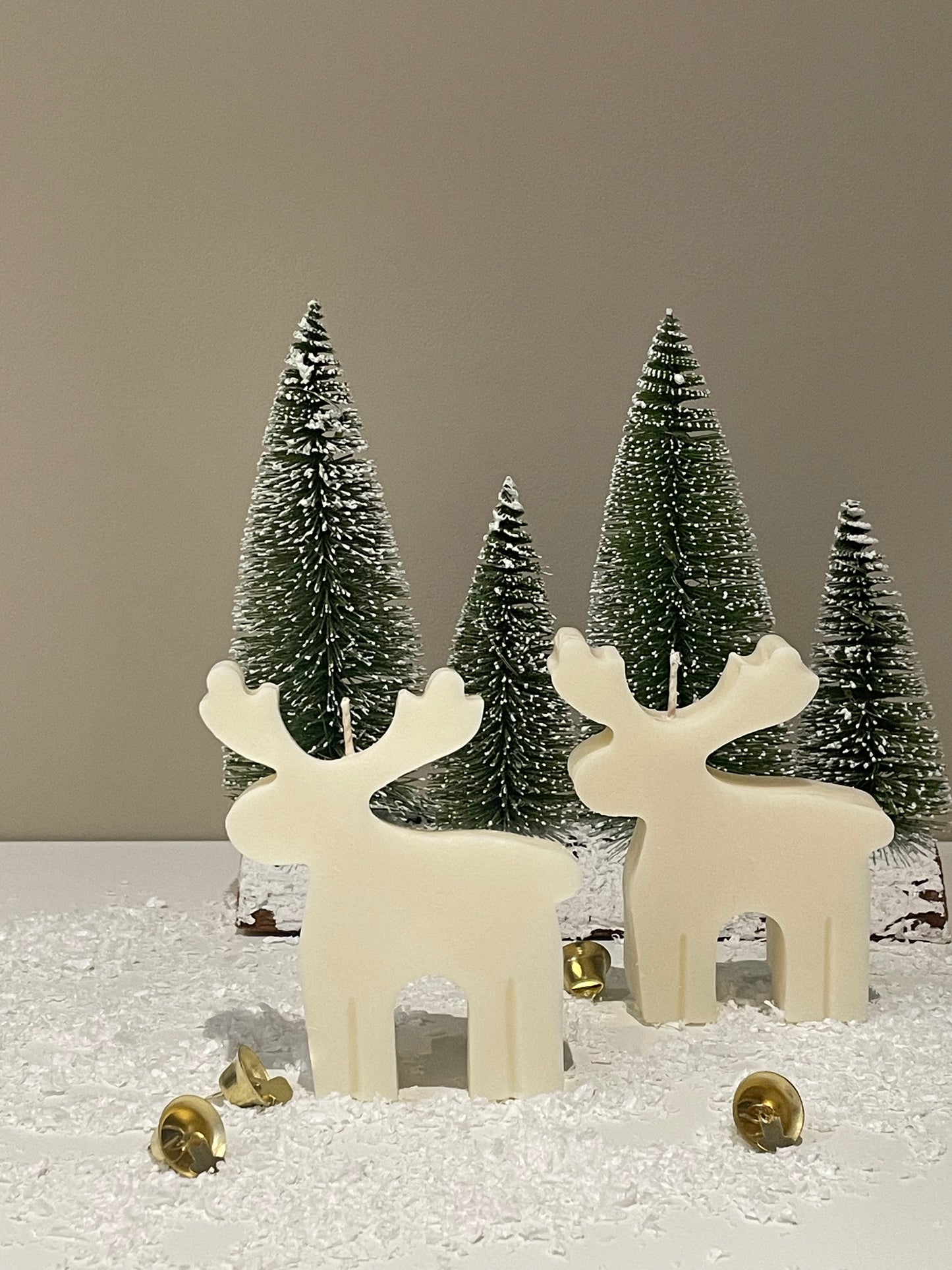 Reindeer