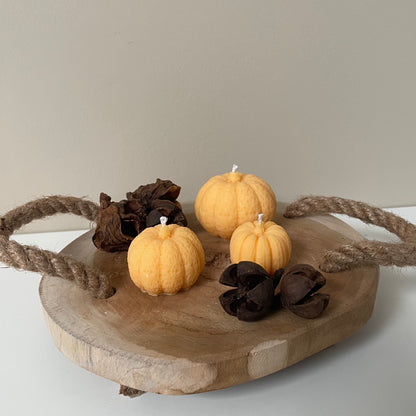 Trio Textured Pumpkin