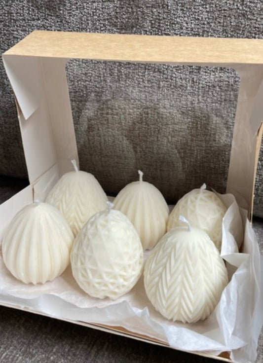 Big box Eggs (6pc)